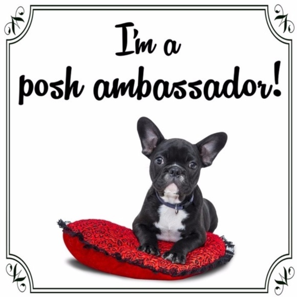 Shop with confidence! - Picture 1 of 2